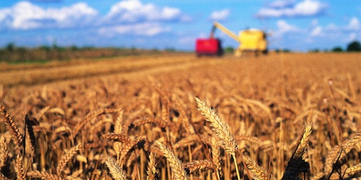 The Soil Association promotes organic farming 