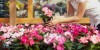 The garden centre company aims to 'be a catalyst for change in the horticulture industry'