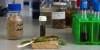 Lignin could be a low-cost feedstock for bioplastic chemicals, says Biome Bioplastics