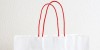 Paper bags will be exempted from the shopping bag charge in England