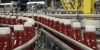 Heinz researchers are looking for ways to recycle and repurpose tomato peels, stems and seeds