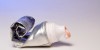 The project will research flexible packaging materials containing aluminium, such as toothpaste tubes