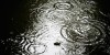 December's rain and temperatures were record-breaking
