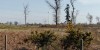 The turbine is being installed at Sandy, Bedfordshire