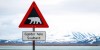Greenpeace is calling for a 'Marine Protected Area' in the waters around Svalbard, home to polar bears