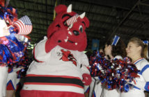 mascot